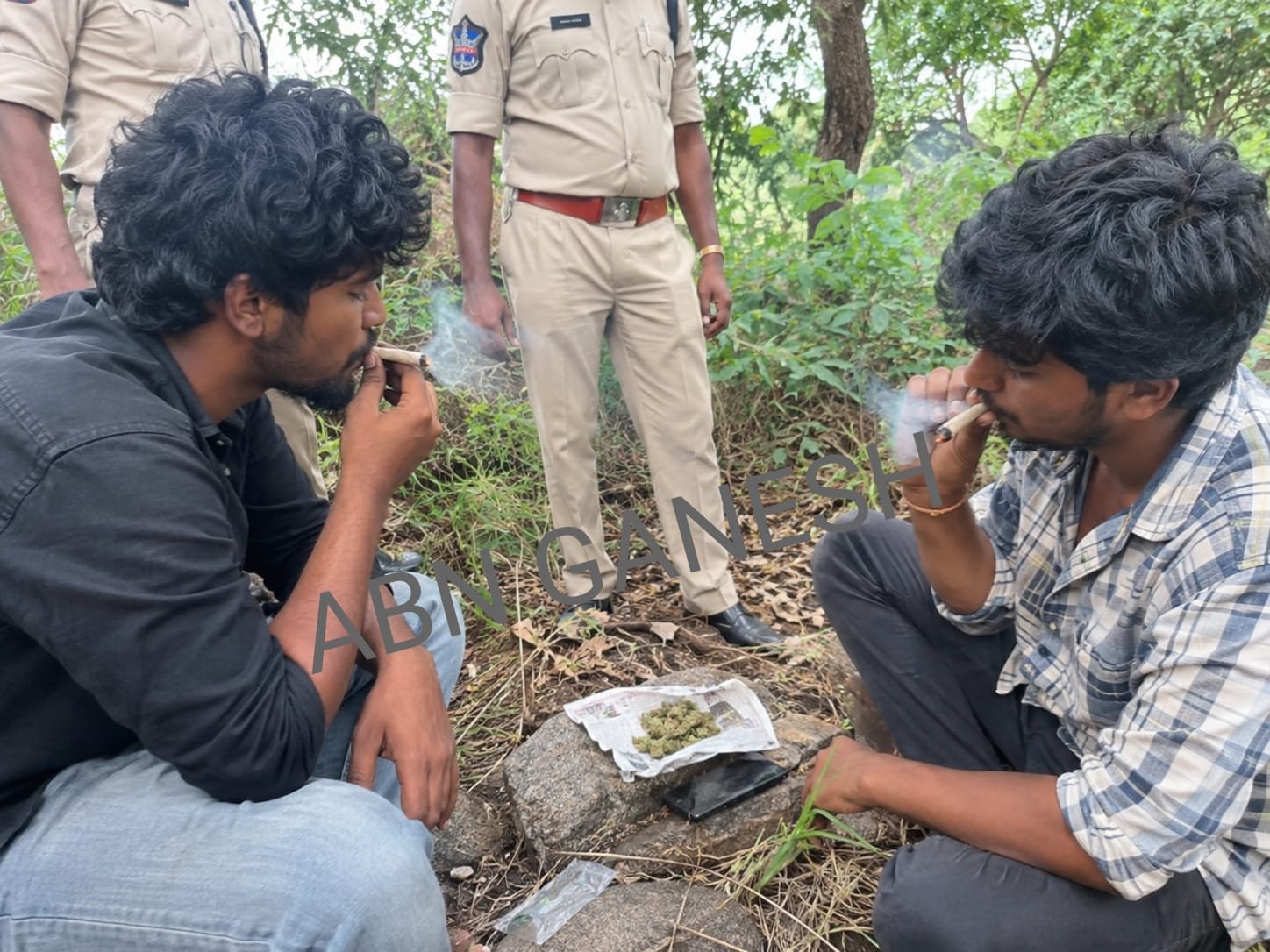 Khammam District Stir over cannabis in Chintakani mandal Khammam District Stir over cannabis in Chintakani mandal